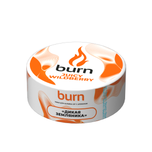 Табак для кальяна Burn – Juicy wildberry 25 гр.